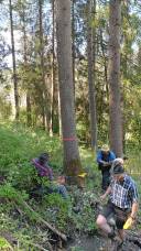 IMG_20250430_145854