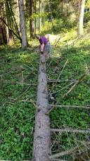 IMG_20250430_151619