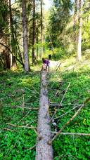 IMG_20250430_151535
